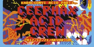 Ceephax Acid Crew  live