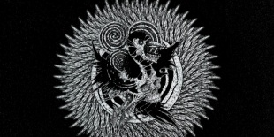 Generation of vipers (USA), severe (BEL), Torn from Earth, Octahed