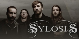 Sylosis: balesetet szenvedtek