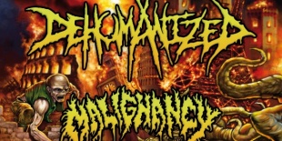 Dehumanized, Malignancy,Abnormality, Beneath mészárlás