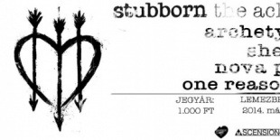 Dürerben mutatja be új lemezét a Stubborn