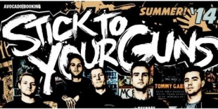 Stick To Your Guns (USA), Stubborn, Petofi