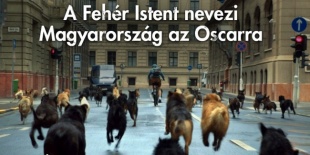 A Fehér Isten a hivatalos magyar nevezés az OSCAR-ra