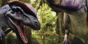 Meghosszabbítva a Dinoszauruszok élete című kiállítás