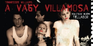 Tennessee Williams: A vágy villamosa (Táncelőadás  Premier)