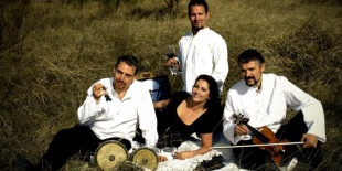 Polcokon a Borra-Való együttes CD-je