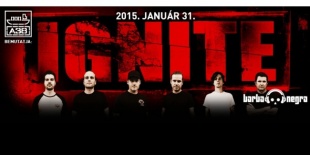 Ignite (USA), Insane, New Dead Project