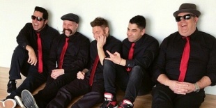 Megérkezett az új Zebrahead lemez