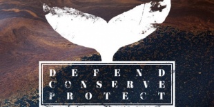 Mentsük meg a bálnákat - Defend conserve protect - Sea Shepherd jótékonysági koncert
