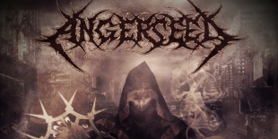 Angerseed  lemezmegjelenés, lemezbemutató