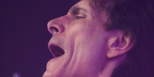 STEVE VAI