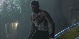 LOGAN  - FARKAS (16)