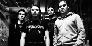 Szöveges videó a Nest of Plagues zenekartól