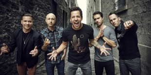 Simple Plan a Parkban
