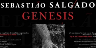 Sebastião Salgado: Genesis