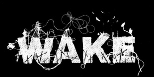 WAKE (CA), BACKSLIDER (US) a ROBOTban