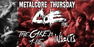Metalcore Thursday az S8 klubban