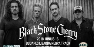 A Black Stone Cherry újra Budapesten