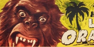 Red Red és Los Orangutanes a Kuplungban