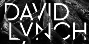 David Lynch: Small Stories
