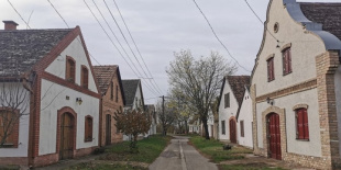 Mesebeli táj és őserő a Hajós-Bajai borvidéken