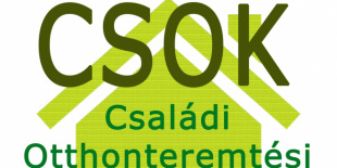 CSOK: banánhéjon lehet megcsúszni a NAV ellenőrzésén