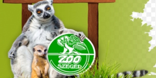 Örökbefogadókat keres a bajba jutott Szegedi Vadaspark