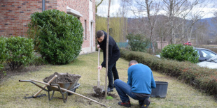 Évente 5000 fát ültet egy visegrádi szálloda