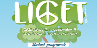 Idén is elmarad a FEZEN