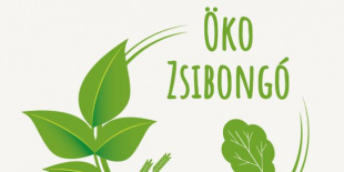 Ingyenes családi ökorendezvény a Füvészkertben