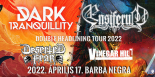 Dark Tranquillity, Ensiferum