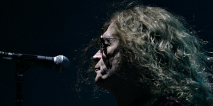 THE DEAD DAISIES