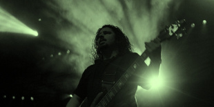 CATTLE DECAPITATION