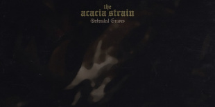 A The Acacia Strain, a Deez Nuts és az UnityTX holnap az A38-n