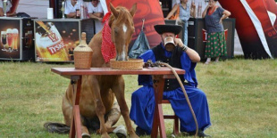 Először rendezik meg a FöldŐrző Fesztivált Pécelen
