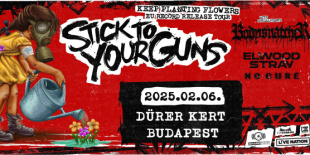 Stick To Your Guns, Bodysnatcher, Elwood Stray, No Cure a Durer Kertben