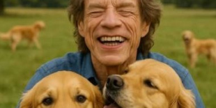 Mick Jagger új menhelyhálózatot indít a kóbor kutyák megsegítésére