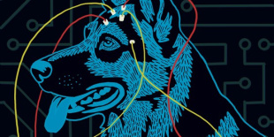 Band of Horses 20 éves klasszikust ünnepel: megjelent az Everything All The Time jubileumi kiadása