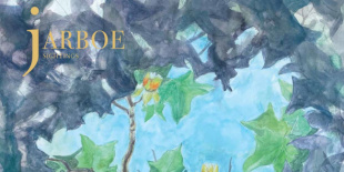 Jarboe teljes egészében elérhetővé tette új albumát, a Sightings-et