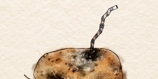 Sara Beth – Old Potatoes: késő esti menekülés egy háromgyerekes anyától, aki véletlenül lett híres