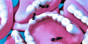 A brit hardcore új vadállata: a Flesh Creep ‘Bubblegum’