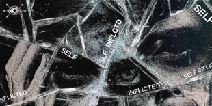 Stray View: önvizsgálat és felelősség a Self Inflicted albumon