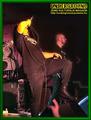 Gallery image 29