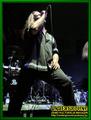 Gallery image 23