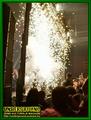 Gallery image 39
