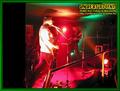 Gallery image 10