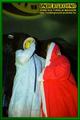 Gallery image 23