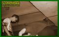 Gallery image 31