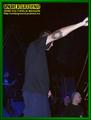 Gallery image 28