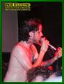 Gallery image 35